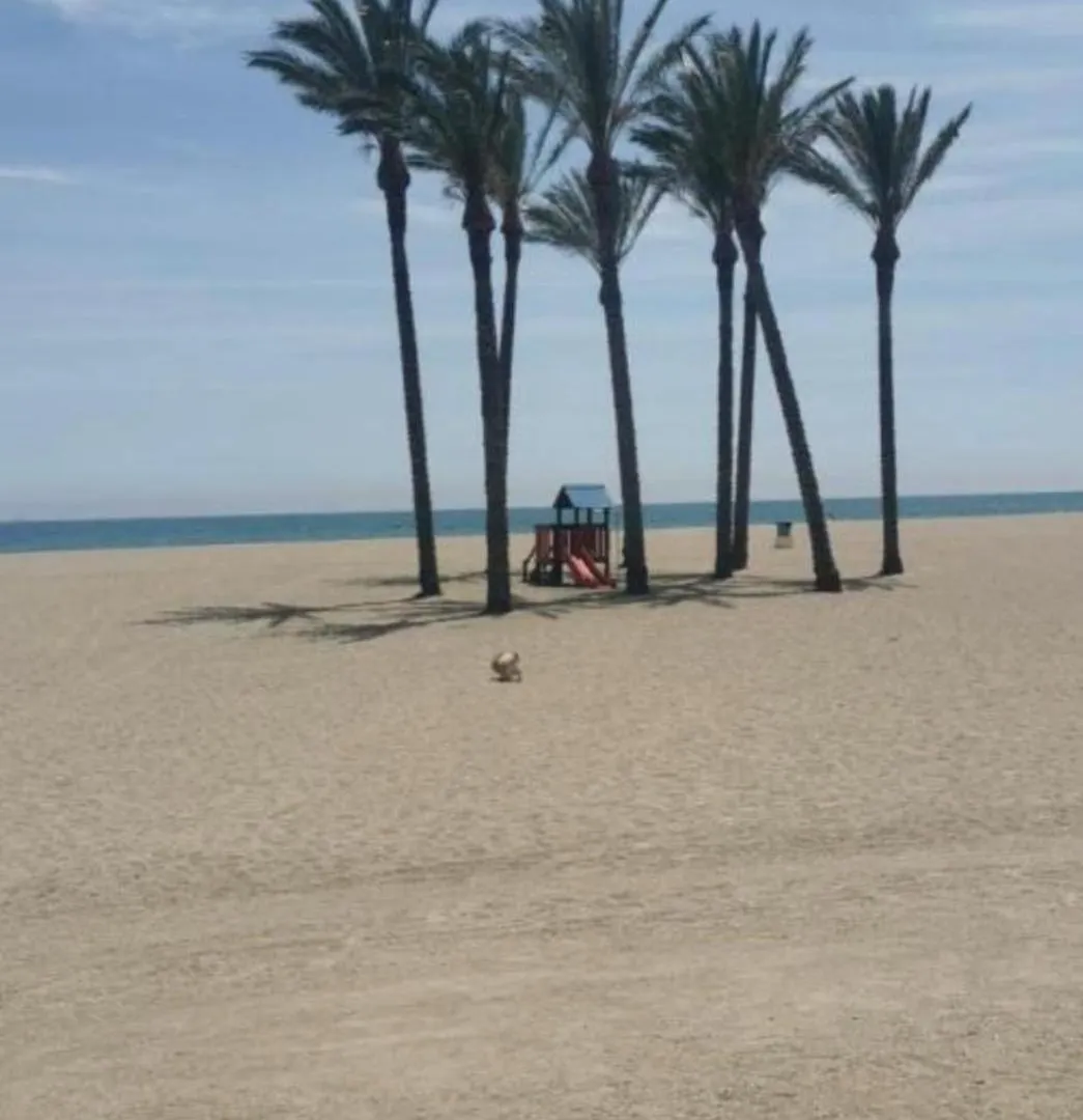 Atico En Roquetas De Mar Apartment Spain
